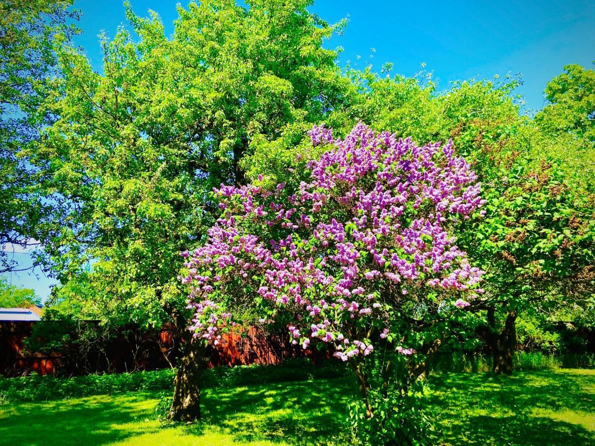 Solakoop B&B Κάρλσταντ Εξωτερικό φωτογραφία